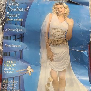 Godess costume